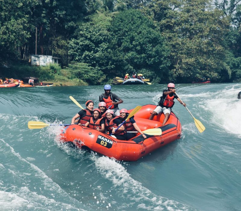 pexels-dandeli-resorts-2161482707-37514744